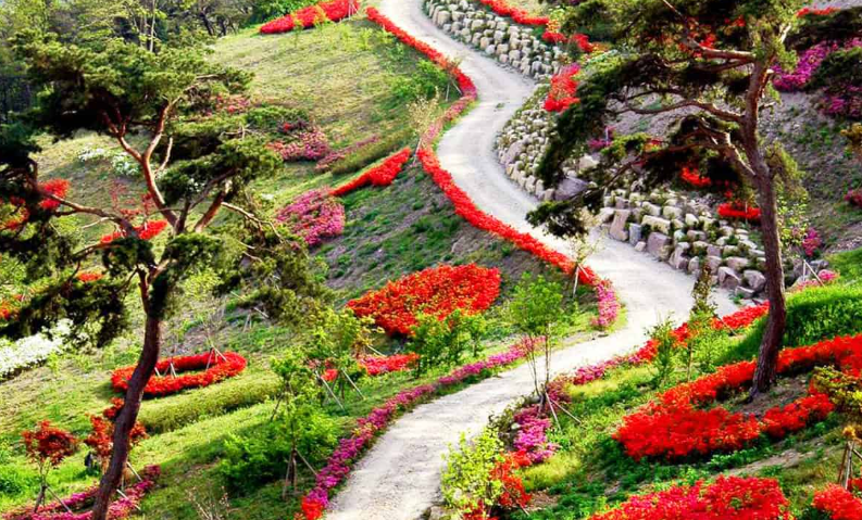 2026 영광 반값여행 지원신청 방법 조건 확인하기 여행코스 추천