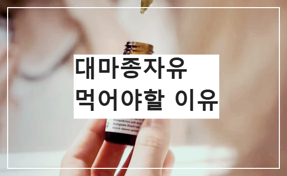 오메가-3와 항산화 효과! 대마종자유가 필요한 이유