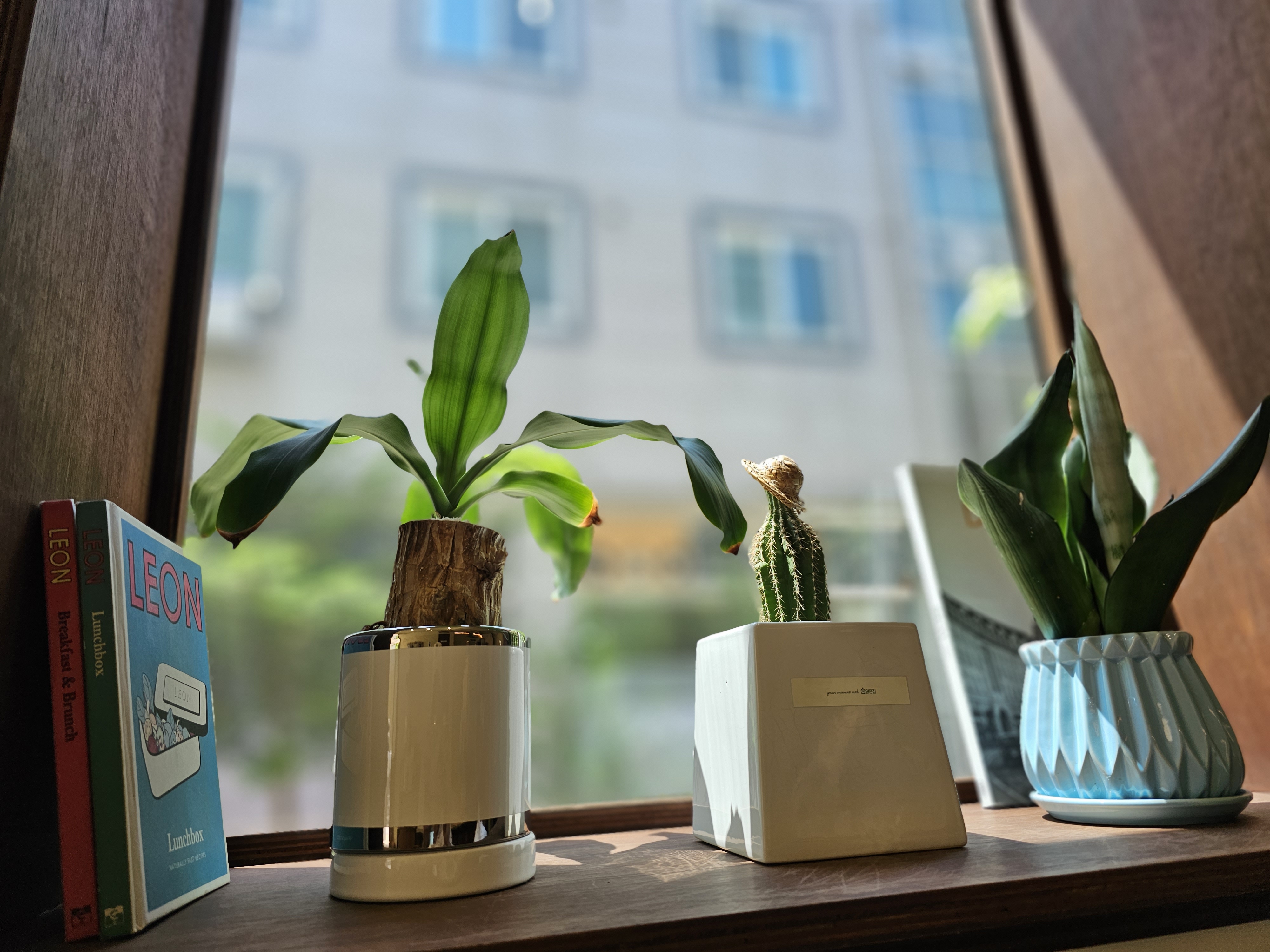 평내동 분위기좋은카페 맹심커피