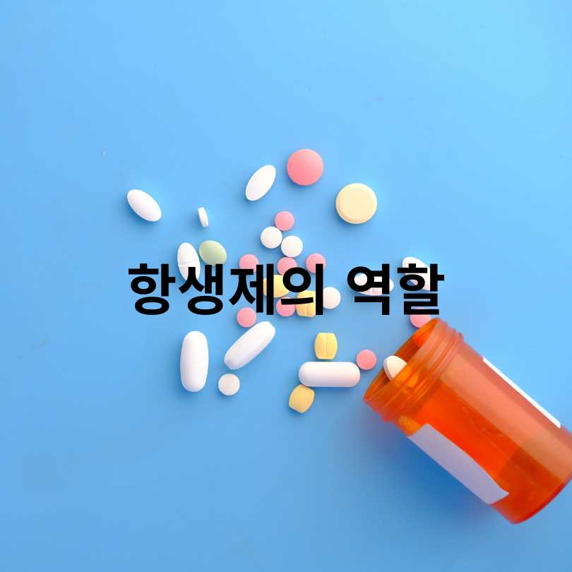 항생제와 소염제 차이 완벽 정리