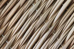 여름철 온열질환 방지 보양식