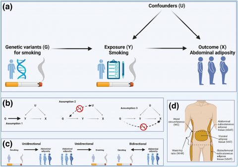 금연과 다이어트의 관계