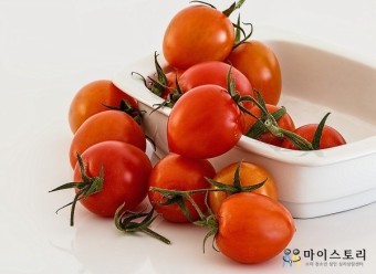 세계 10대 슈퍼푸드