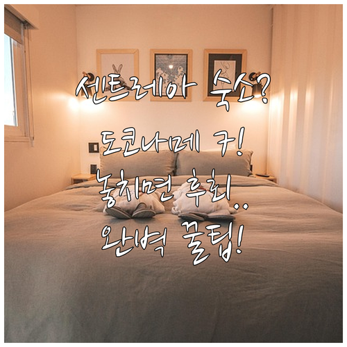 센트레아 공항 도코나메 숙소 7곳 비..