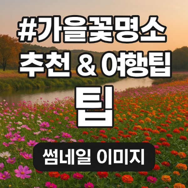 가을꽃 명소
