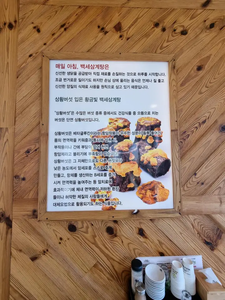 상황버섯의 다양한 효능