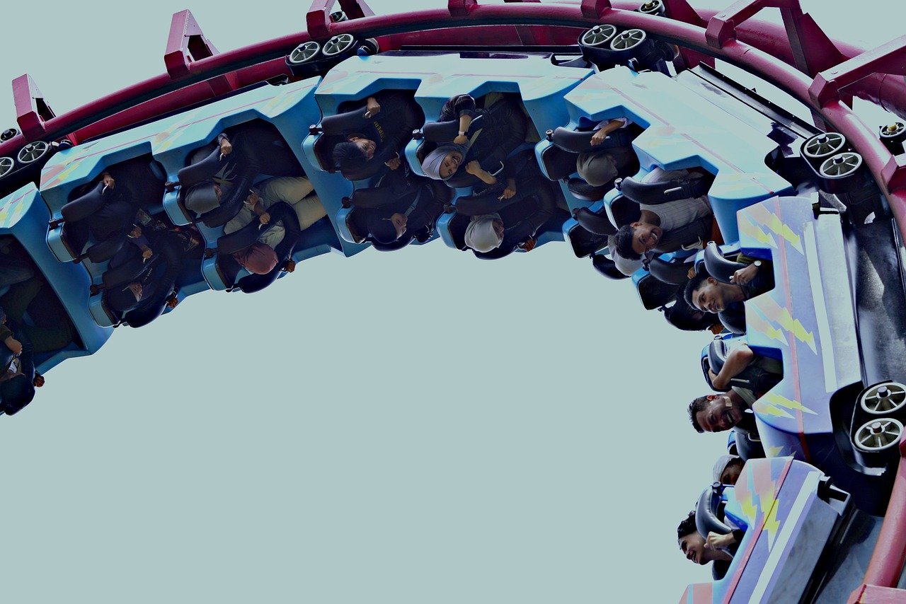 협업 능력은 타고나는가, 훈련 가능한가