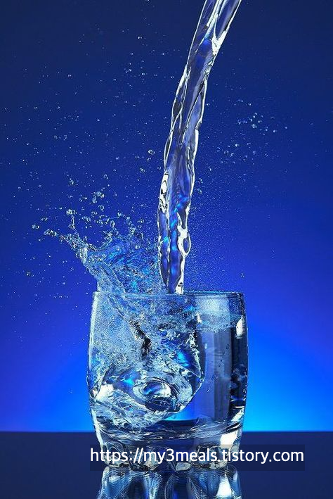 이온음료 권장 섭취량