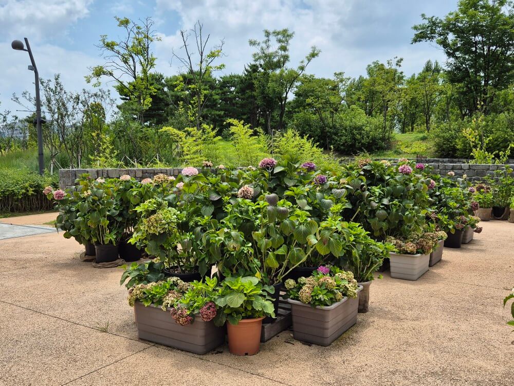 서울식물원 관련 사진1