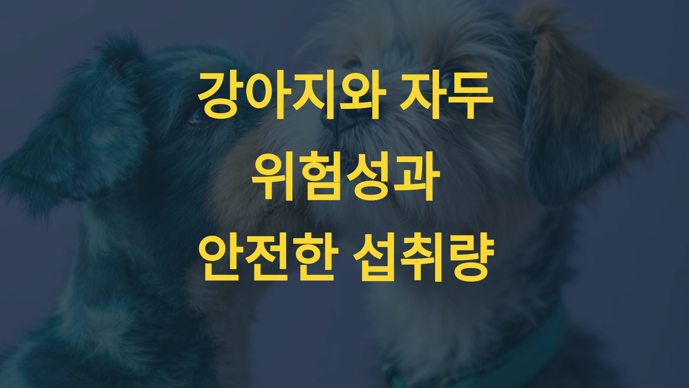 강아지에게 자두가 위험한 이유