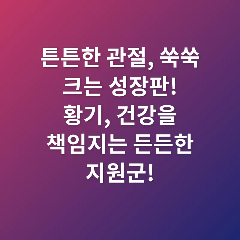 황기 효능_3