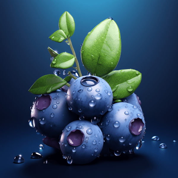 자연의-파란-영양제-블루베리