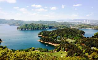 청남대 봄꽃축제 영춘제