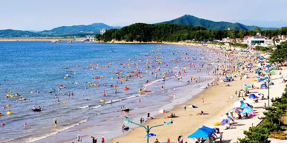 충청남도 서천, 춘장대해수욕장
