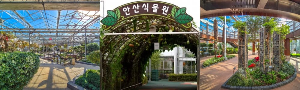 생생정보통 오늘방송(3월 6일) 맛집 사또횟집사또조개구이,누에섬,대림농장,안산식물원,시화달전망대