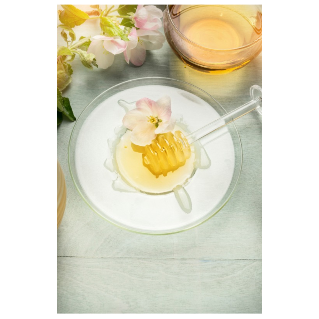 프로폴리스와 관련된 사진입니다.