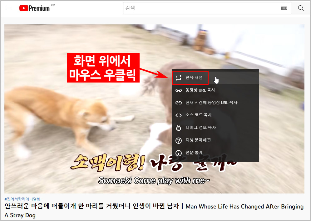 PC 유튜브 반복재생 켜기 끄기 설정