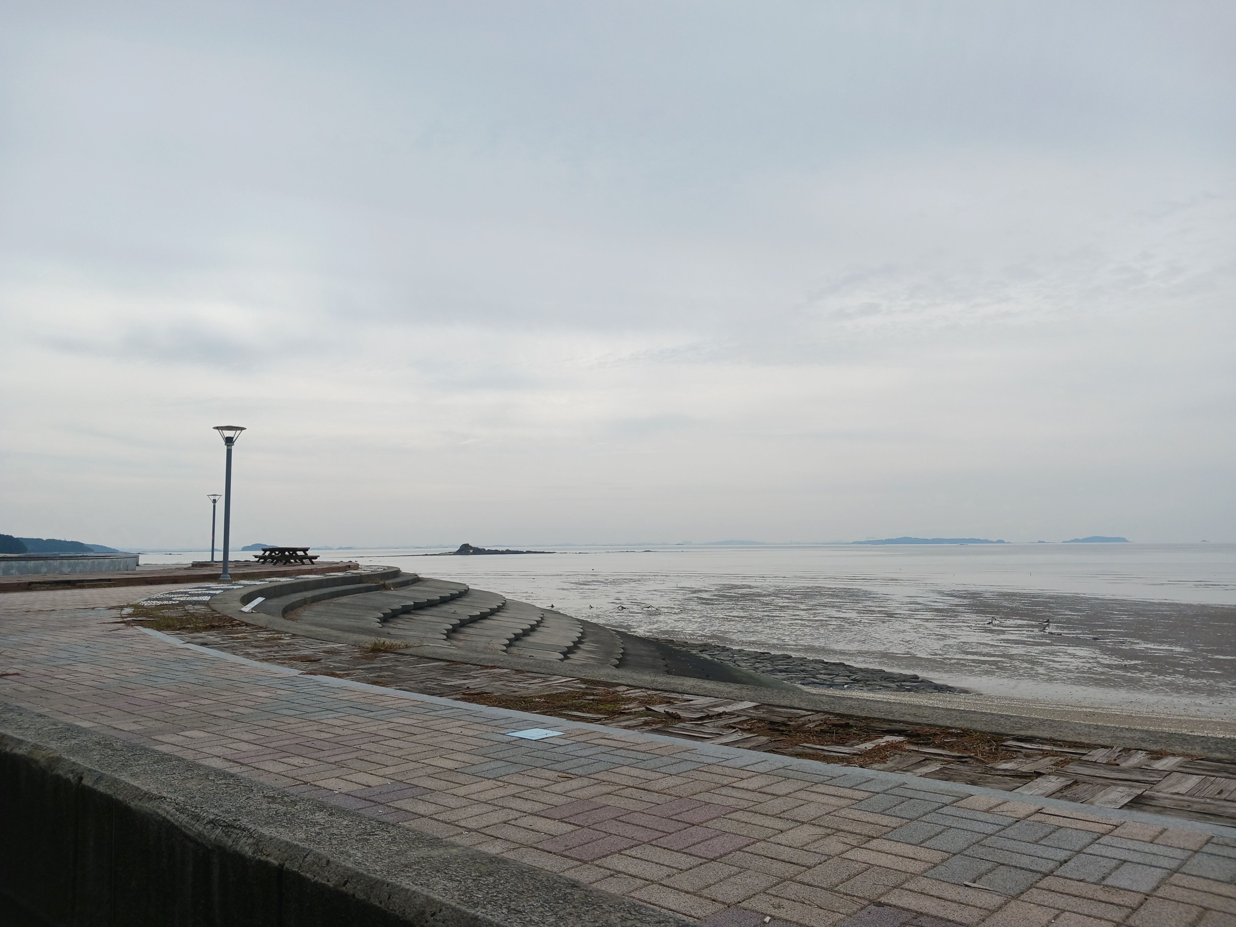 서천갯벌