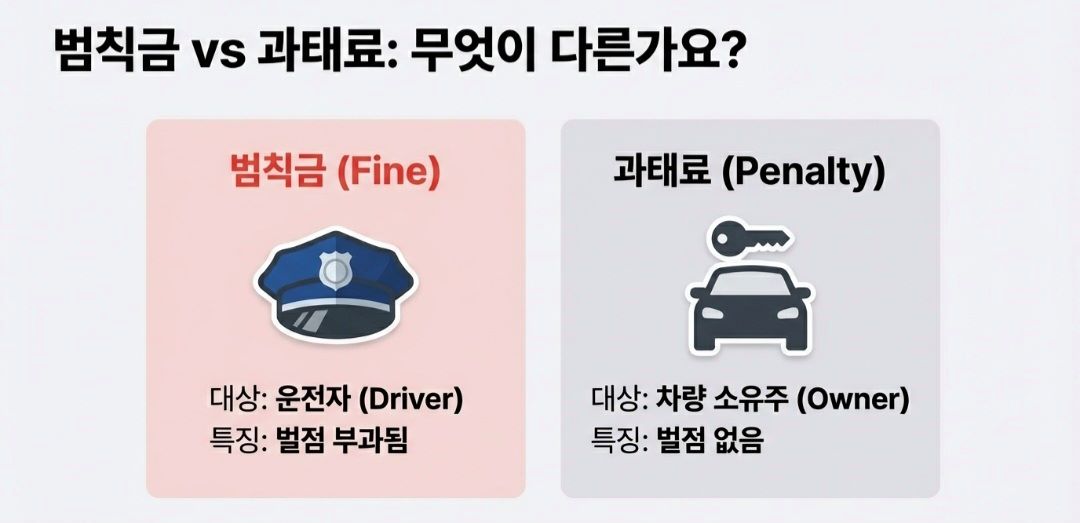 버스전용차로-사진9