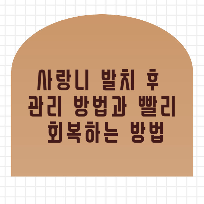 사랑니 발치 후 관리 방법과 빨리 회복하는 방법