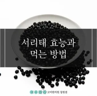 서리태 효능 콩물 만드는방법 수확시기 서리태콩 정보_3