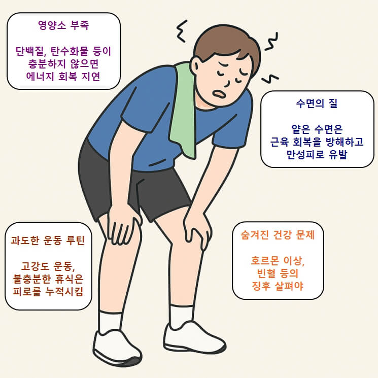 운동 후 피로가 안 풀린다면 이게 원인일 수 있습니다