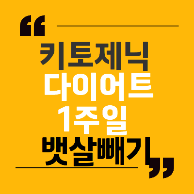 키토제닉 다이어트 1주일 뱃살빼기