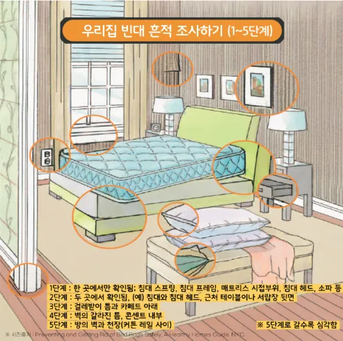 빈대 흔적 조사하기