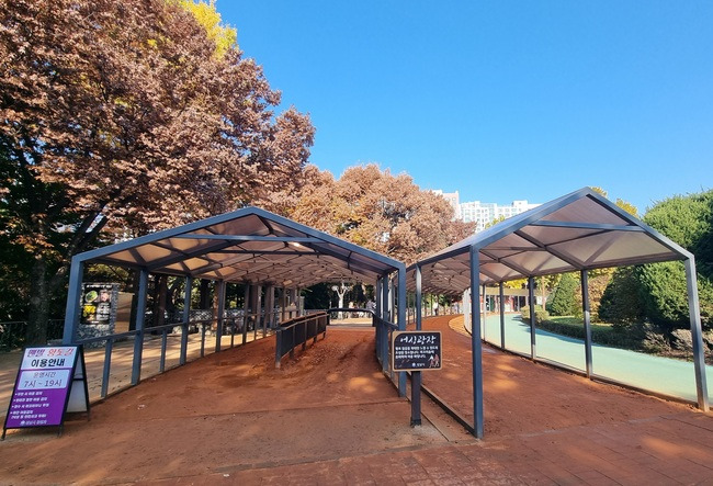 성남 반려견 겨울 산책 명소 BEST 5, 강아지와 걷기 좋은 실제 코스