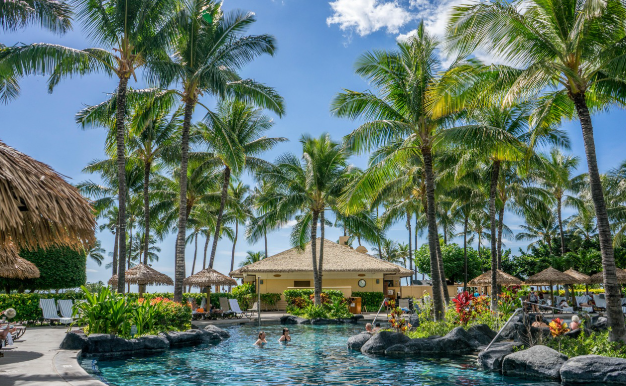 하와이 오아후 섬 ㅋ 올리나