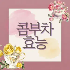 콤부차 효능