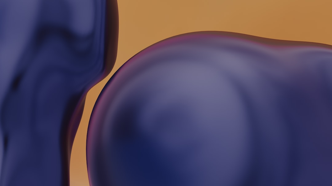 참조 (lump)