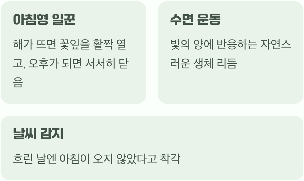 태양과 함께 눈을 뜨는 작은 생명체