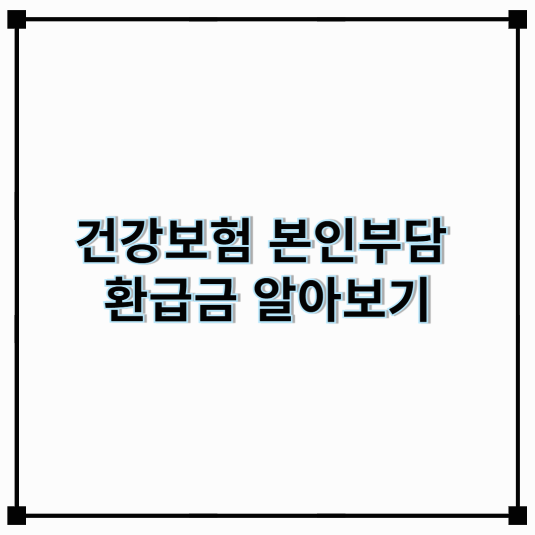 건강보험 본인부담 환급금 제도 알아보기