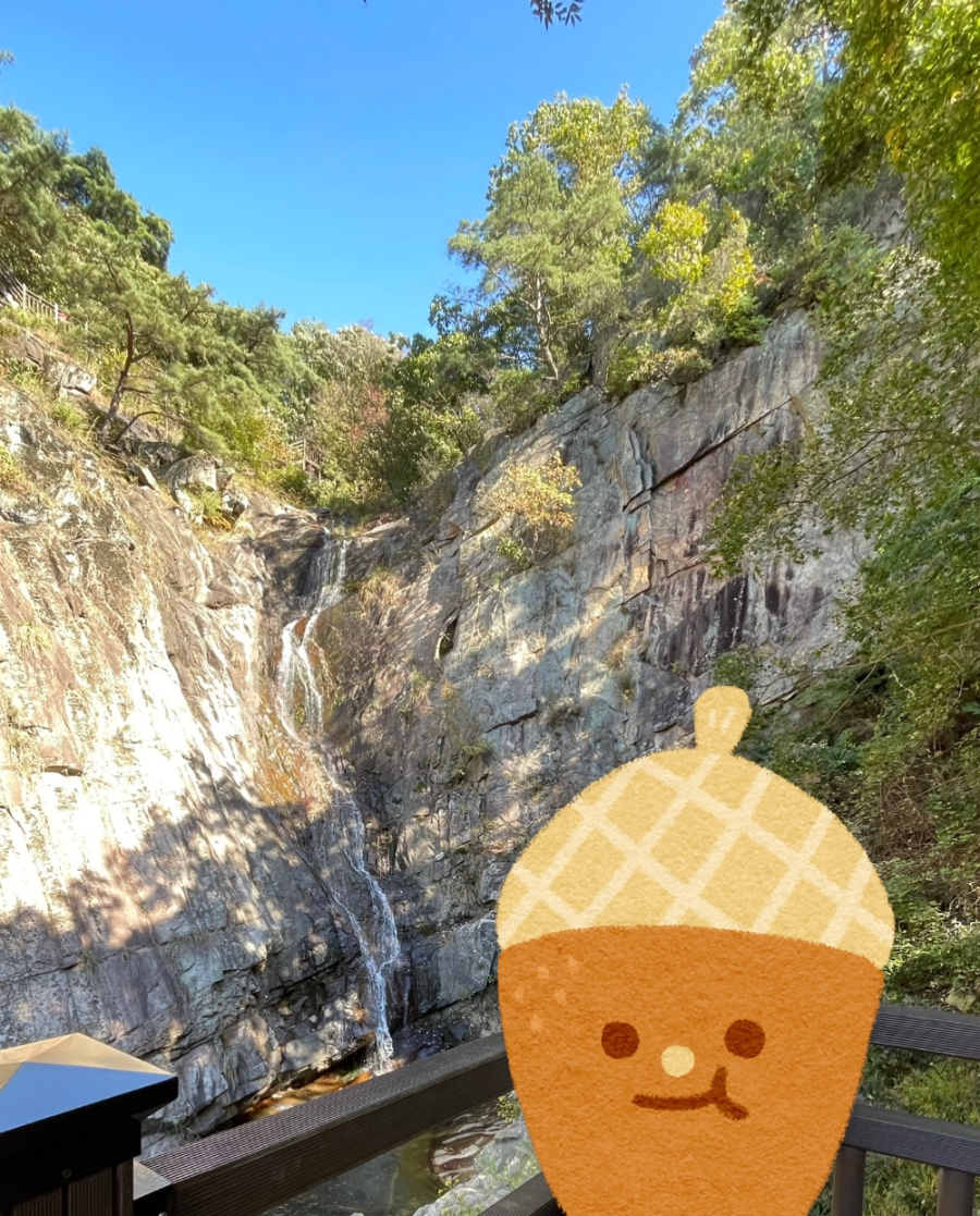 파주 감악산 출렁다리