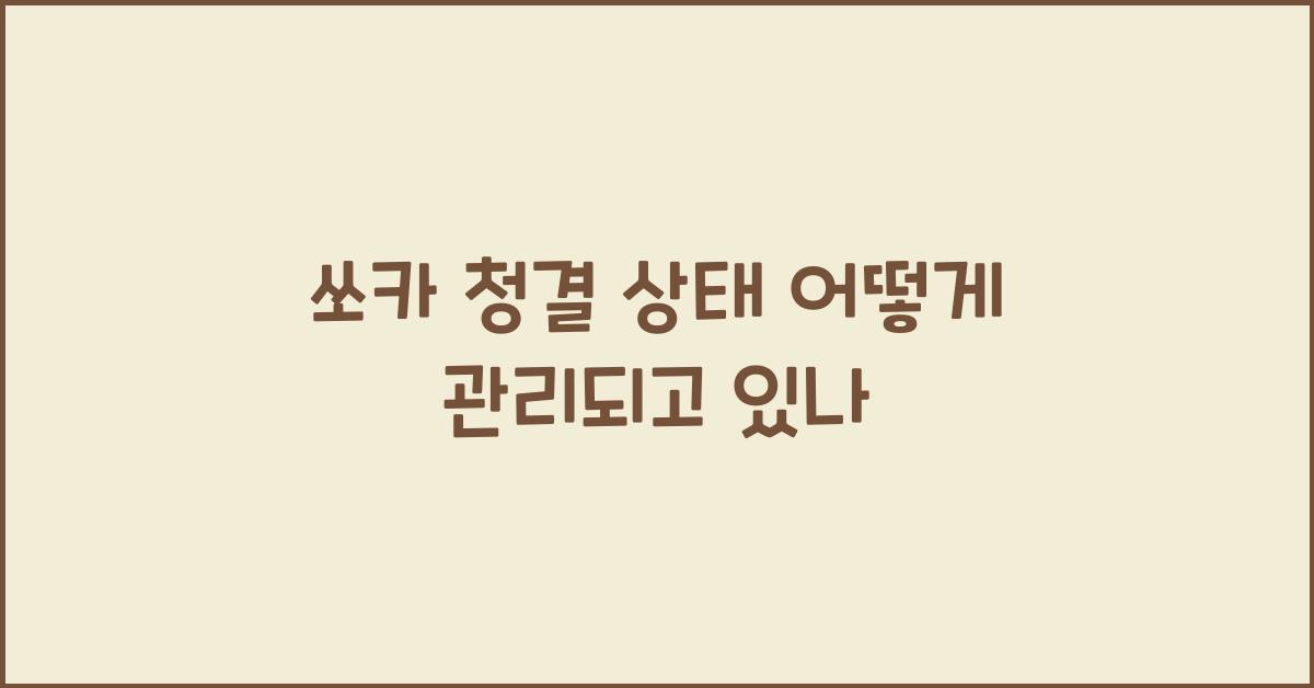 쏘카 청결 상태