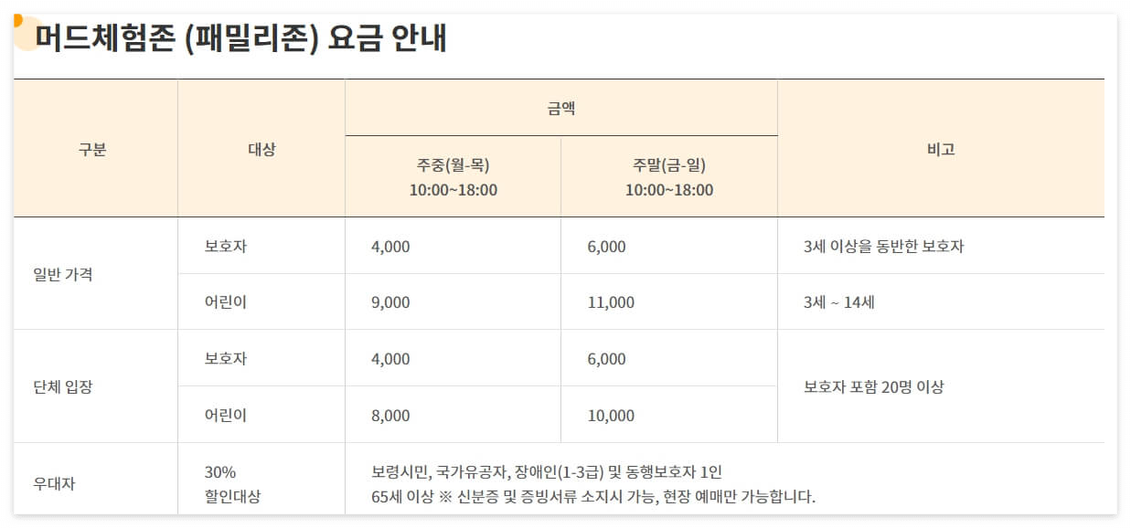 보령 머드축제