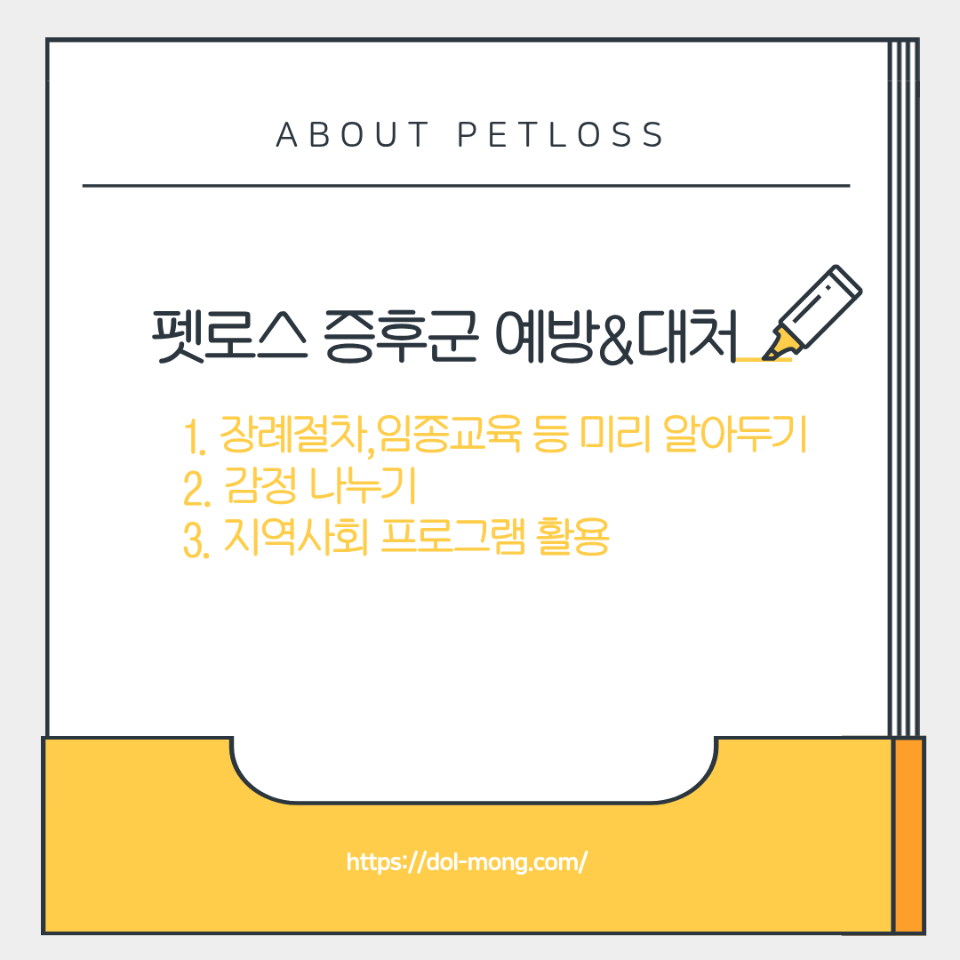펫로스 증후군에 대한 예방법과 대처방법