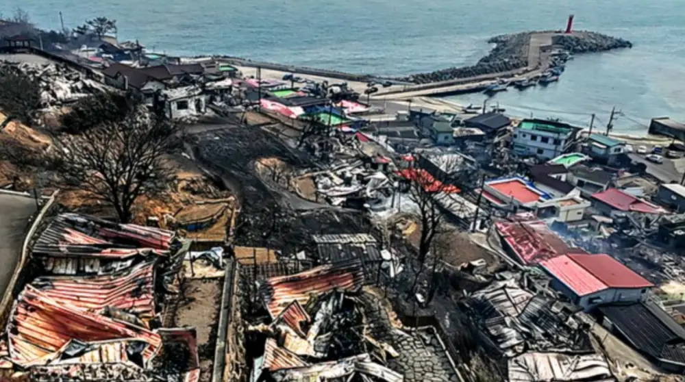 산불피해현장2