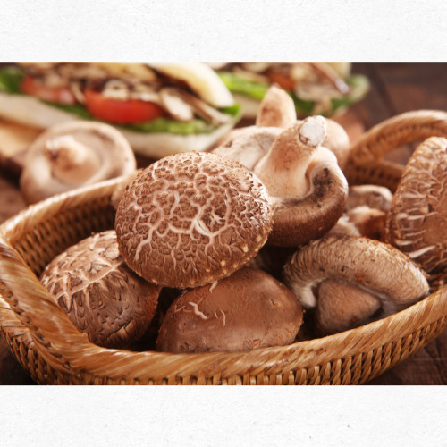 8월 제철버섯 능이버섯국 향과 영양 가득