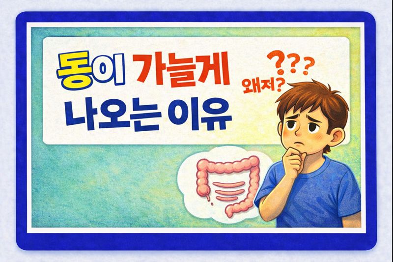 똥이 가늘게 나와도 괜찮을까? 이유 정리