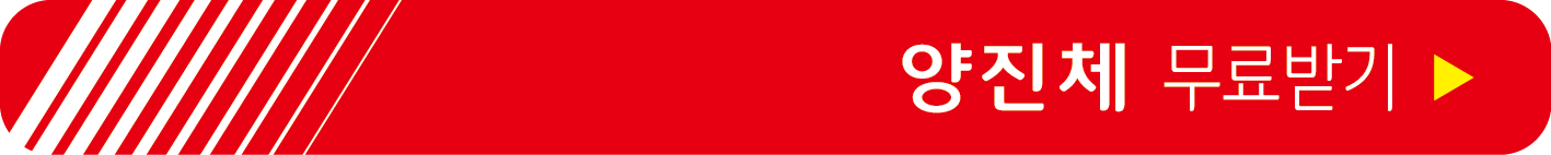 양진체 무료 받기