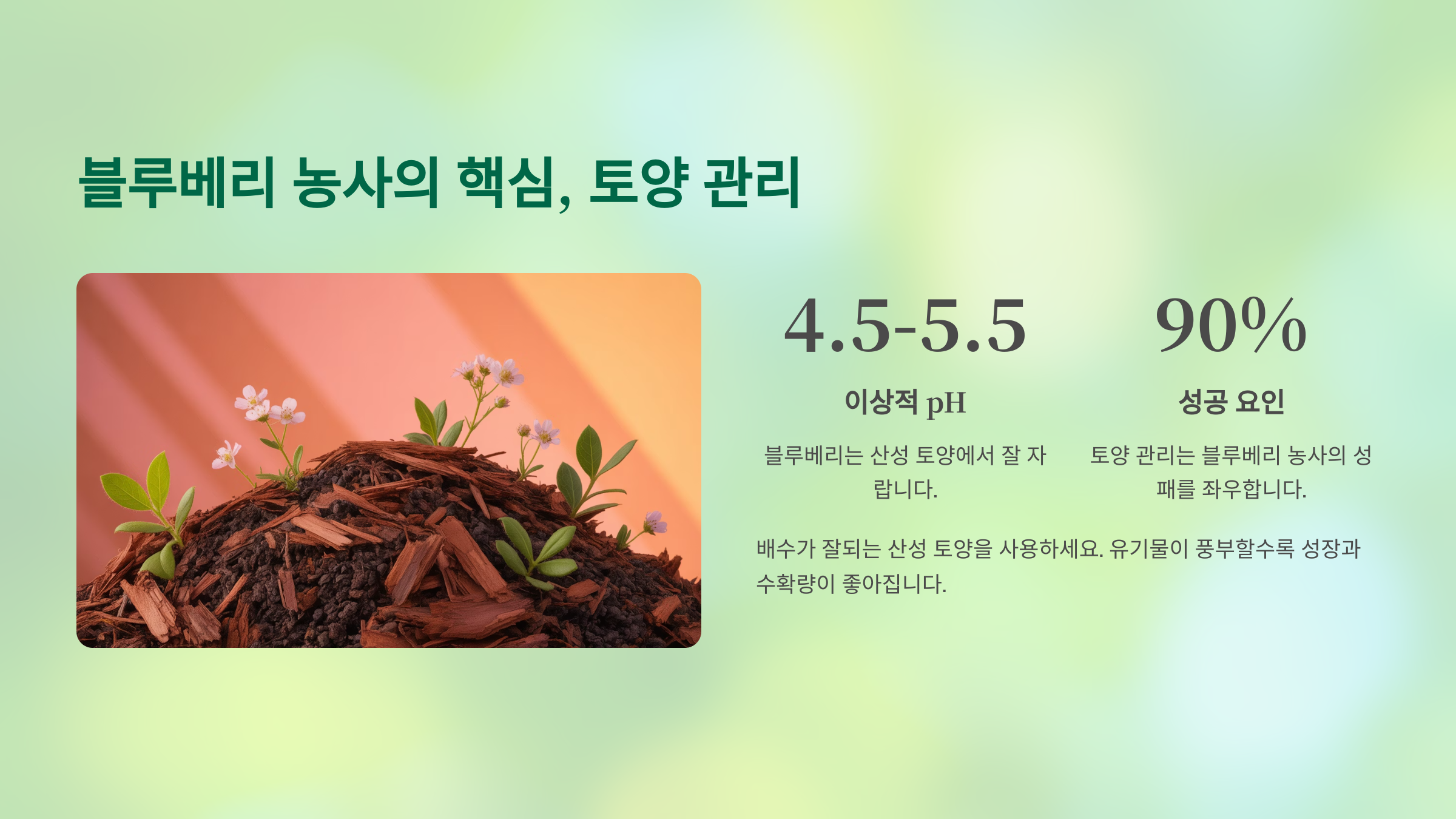 묘목 심기부터 물주기까지 (실전 재배) ☀