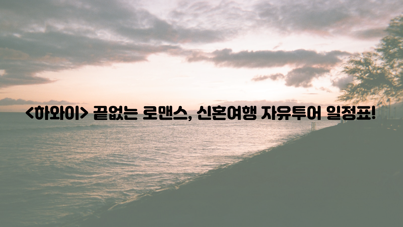 하와이, 신혼여행, 자유투어