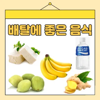 설사에 좋은 음식 총정리 소화기 건강 식단_2
