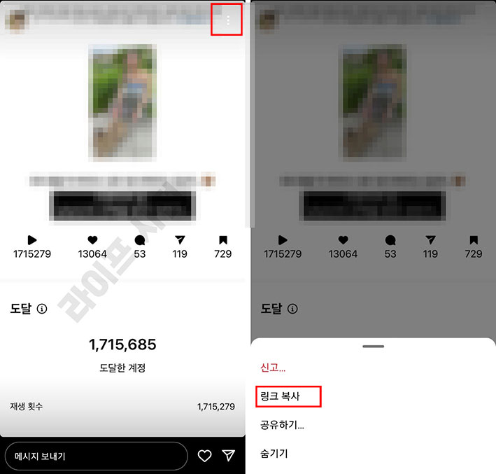 링크 복사로 확인 가능