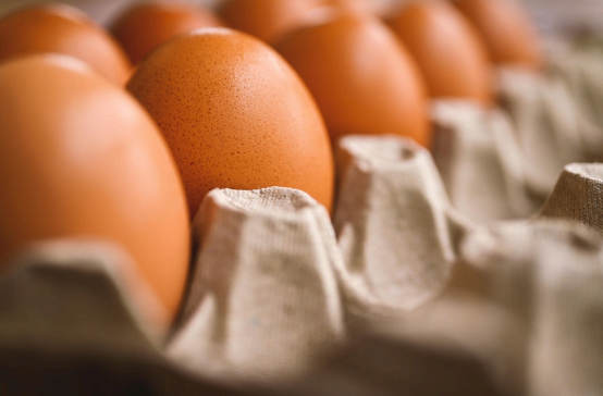 계란 이미지사진