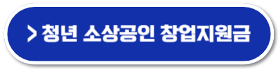 청년창업지원금