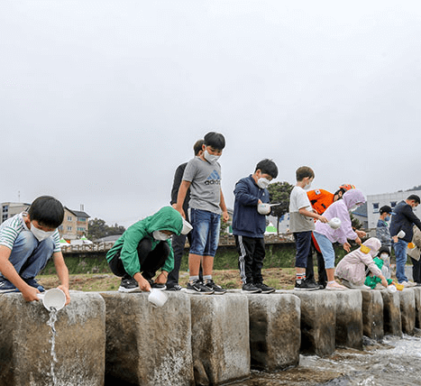 무주 반딧불 축제 남대천 생명살리기 프로젝트