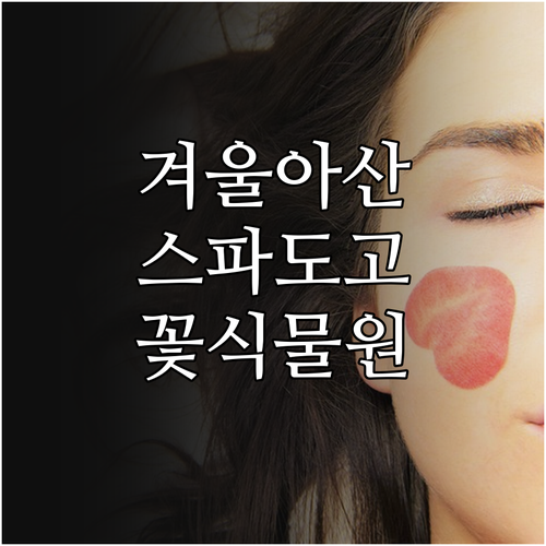 겨울 아산 여행지 추천 파라다이스 스..